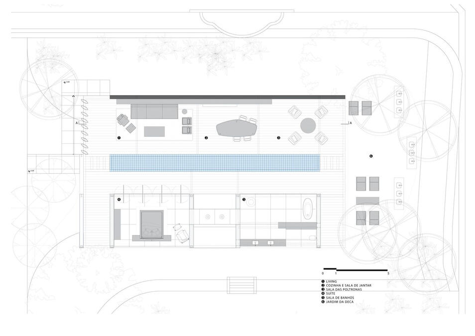 João Panaggio plan&#39;s