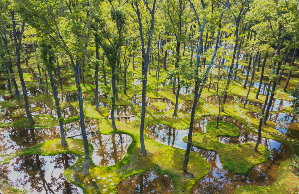 Art Biotop Water garden by Junya Ishigami